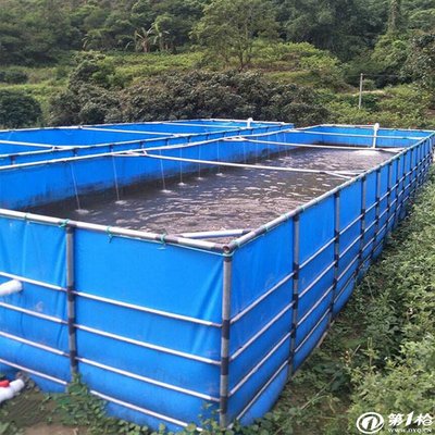 浙江湖州漳州養魚帆布魚池 養水蛭螞蟥養蝦帆布水池帆布水槽