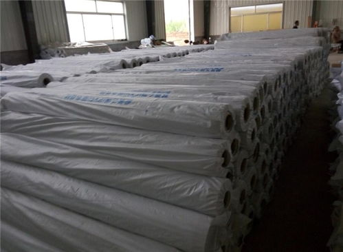 海城市tpo防水卷材粘貼品質 濰坊星洲防水廠