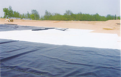 漳州防滲復合土工膜%%%防水復合土工布經銷商_建筑材料欄目