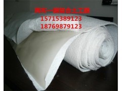 漳州兩布一膜復(fù)合土工布生產(chǎn)廠家 防水無(wú)紡布價(jià)格